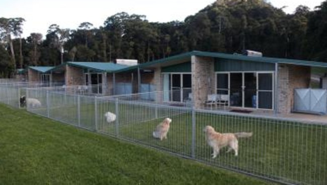 Holidays with dogs: Australia’s best pet-friendly accommodation ...