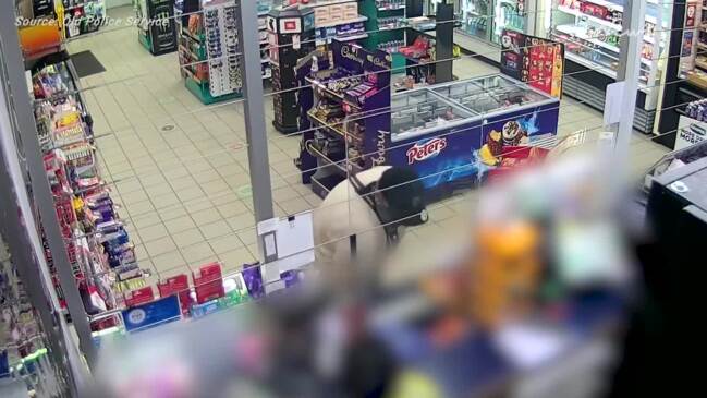 Police hunt man after alleged Logan Central service station robbery