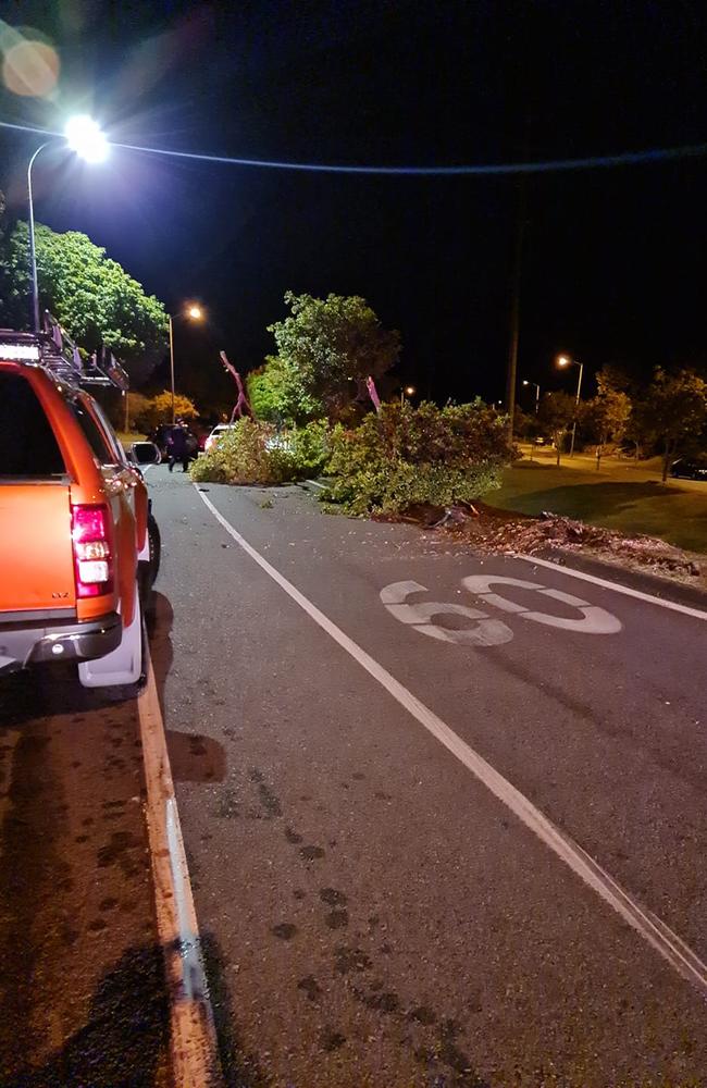 A car has slammed into multiple trees and a street sign on Pacific Pines Boulevard in Pacific Pines just before 4am on Monday morning. Photo: Facebook