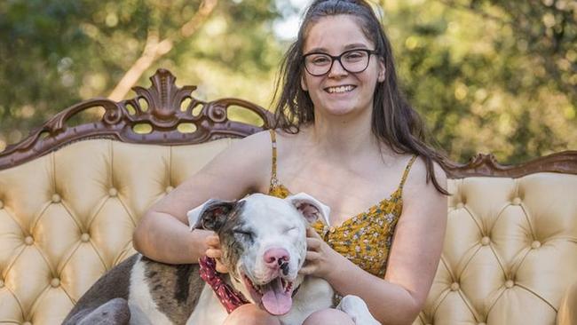 Rachael Sinclair says her blind Great Dane cross, Merlin has inspired her to consider alternative approaches to training dogs, especially those with disability.