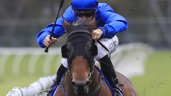 Savatiano has been well backed in the Expressway Stakes at Rosehill. Picture: Getty Images