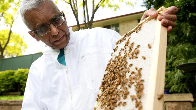 Castle Hill man Daya Howpage urged people to not kill bees. Picture: Justin Sanson