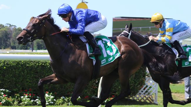 Arbitration and James McDonald look hard to beat in race 6 on Wednesday. Picture: Grant Guy