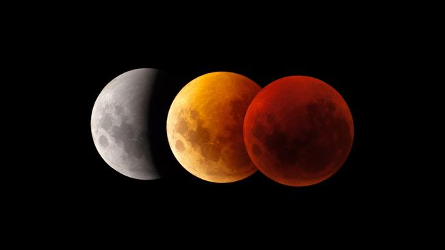 The moon will turn a shade of red during tonight’s total eclipse. Picture: Museums Victoria.