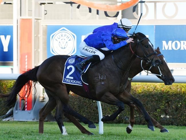 Jockey John Allen rides Trekking to victory in the Group 1 Goodwood, at Morphettville Racecourse in Adelaide. Picture: AAP Image/David Mariuz
