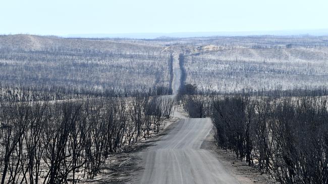 Flinders Chase National Park after the bushfires swept through on Kangaroo Island in January 2020. Picture: AAP Image/David Mariuz