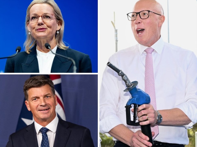 Federal election Libs inside story