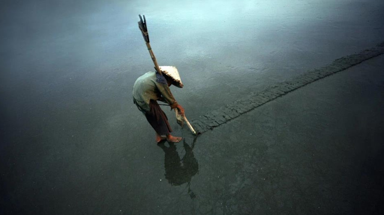 Digging for clams in Vietnam. Picture: Chie Chie/Agora Images