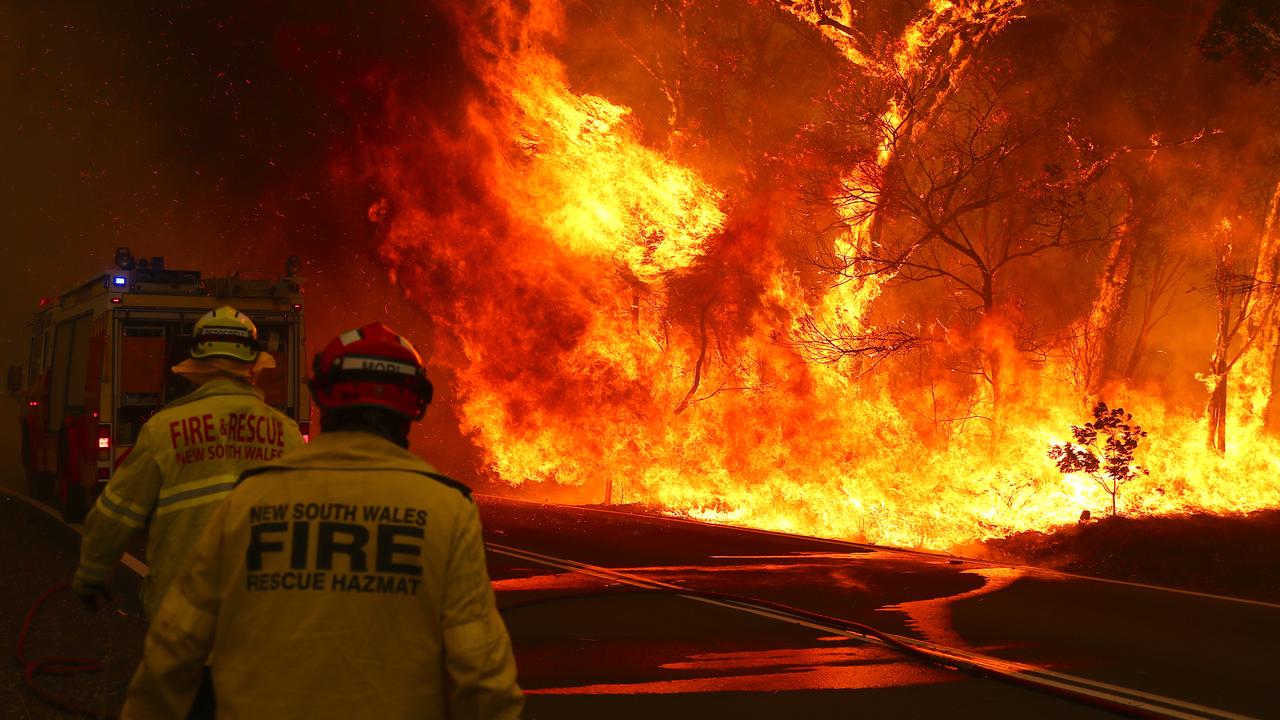 Falling tree kills firey fighting blaze