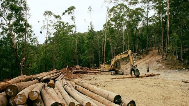 Logging operations on the NSW North Coast.