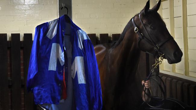 Bookmaker Tom Waterhouse says Winx is the best horse he has seen.