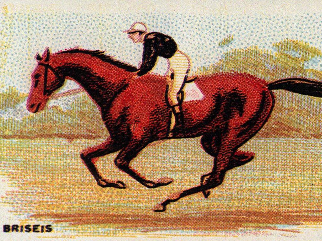 Racehorse Briseis, winner of the 1876 Melbourne Cup in an undated painting.