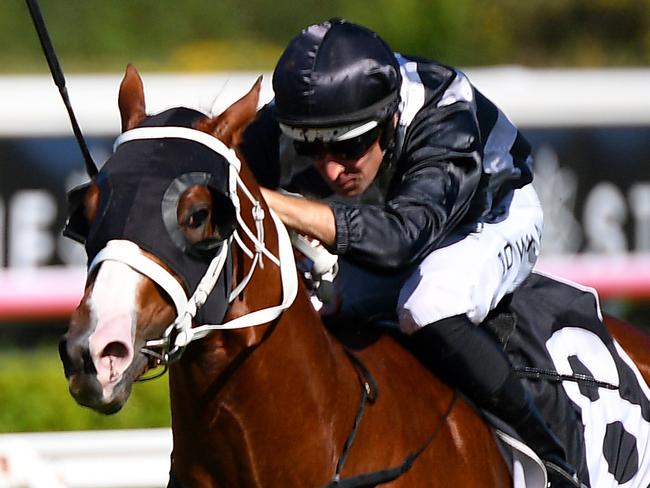 Jockey Kerrin McEvoy rides Peltzer to victory in race 2, the Central Coast Mariners 2YO Handicap, during Gosford Cup Day at Royal Randwick Racecourse in Sydney, Saturday, May 9, 2020. (AAP Image/Dan Himbrechts) NO ARCHIVING, EDITORIAL USE ONLY