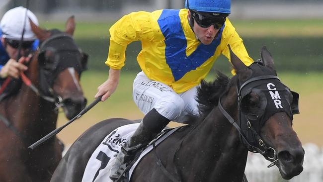 Cellsabeel was a brilliant winner at Rosehill last start. Picture: AAP