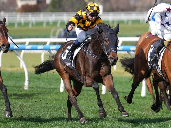 Lovazou ridden by Carleen Hefel wins the Vale Catherine Rae at Caulfield Racecourse on August 17, 2024 in Caulfield, Australia. (Photo by Scott Barbour/Racing Photos via Getty Images)