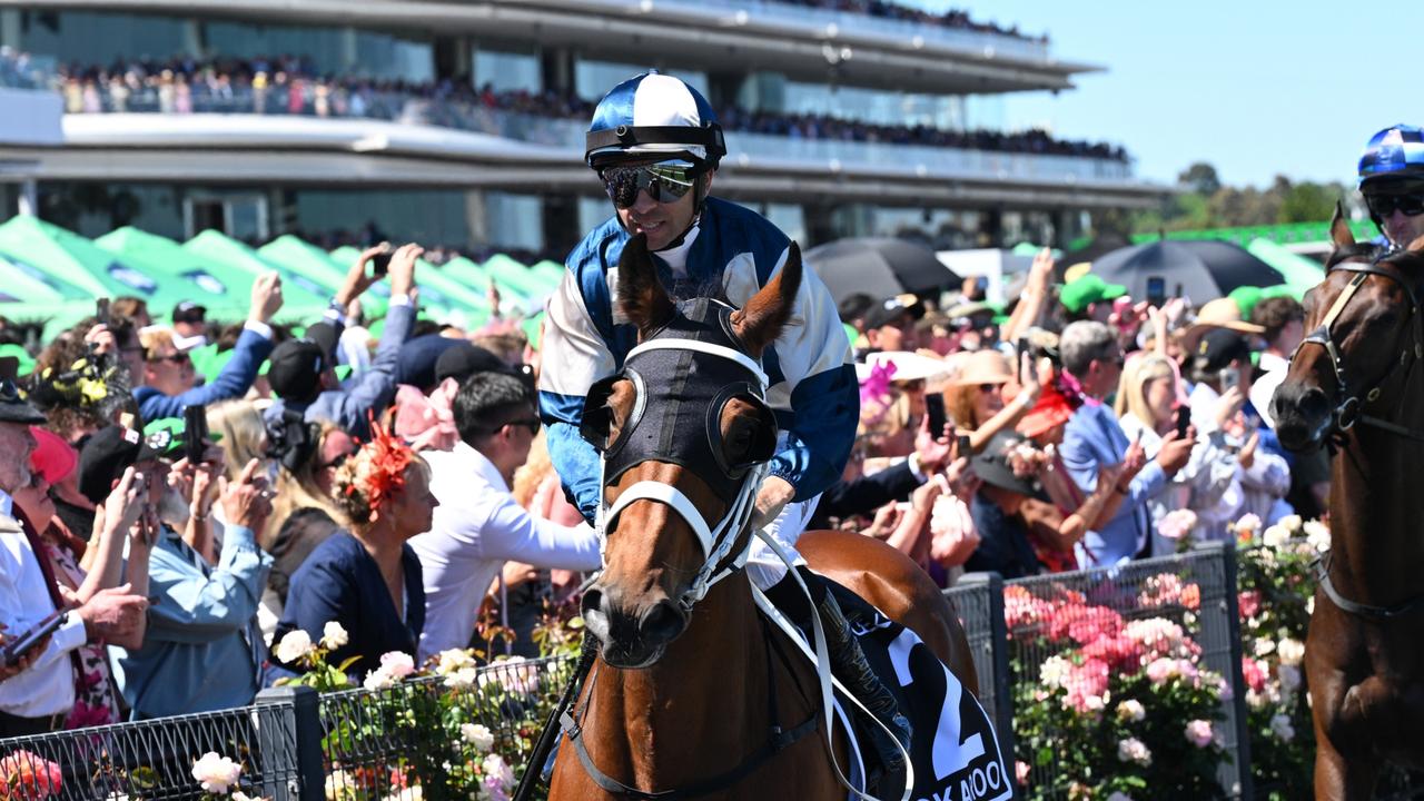 Joao Moreira and Buckaroo head out to the track for the 2024 Melbourne Cup at Flemington. Picture: Vince Caligiuri / Getty Images