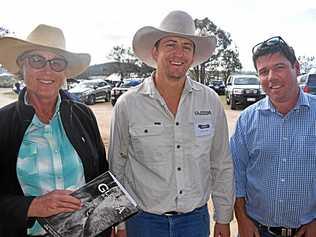 Helen Alexander, Aaron Wise and Matt Galvin. Picture: Matthew Purcell