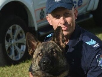 Police dog dies while hunting fugitive