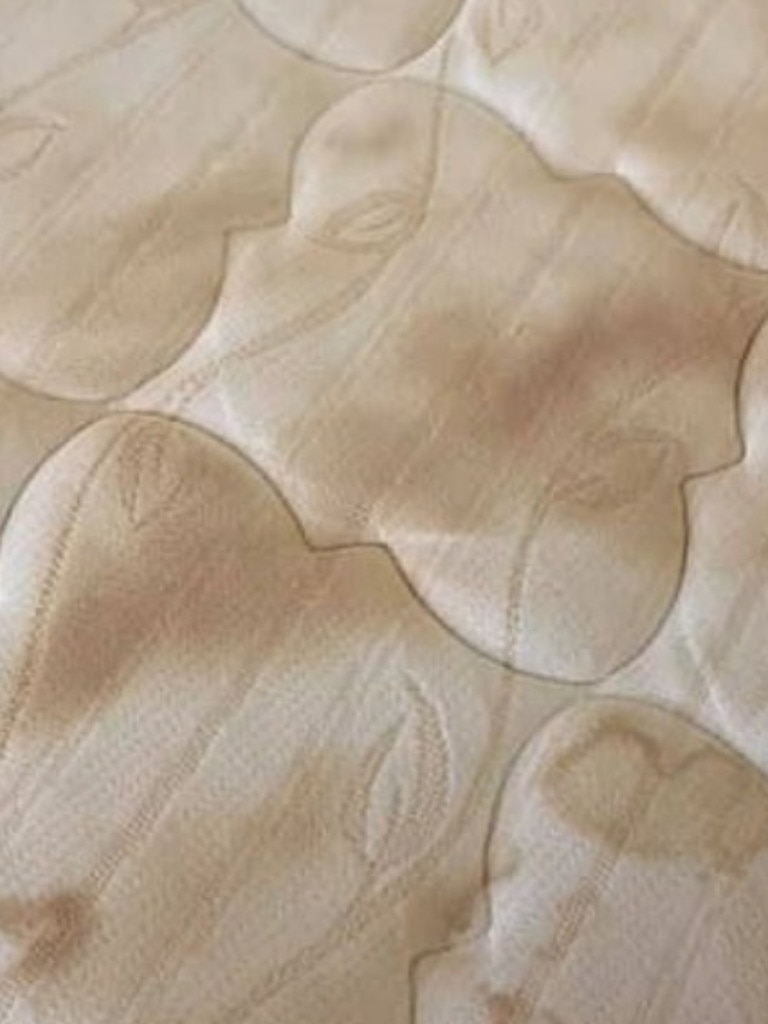 BEFORE: Dirty stains across the mattress. Picture: Facebook