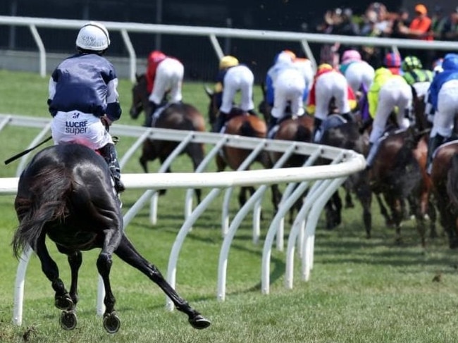 HORROR: The Cliffsofmoher goes down in this year's Melbourne Cup.