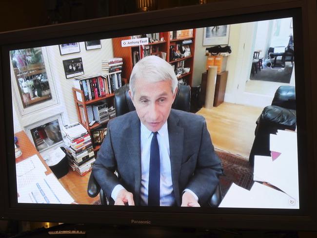 Dr. Anthony Fauci, director of the National Institute of Allergy and Infectious Diseases speaks remotely during a virtual Senate Committee for Health, Education, Labor, and Pensions hearing, Tuesday, May 12, 2020 on Capitol Hill in Washington.  (Win McNamee/Pool via AP)