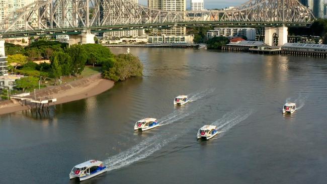 The new boats were feline fine on the Brisbane River. Picture: Brisbane City Council.