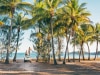 Eight best things to do in and around Townsville