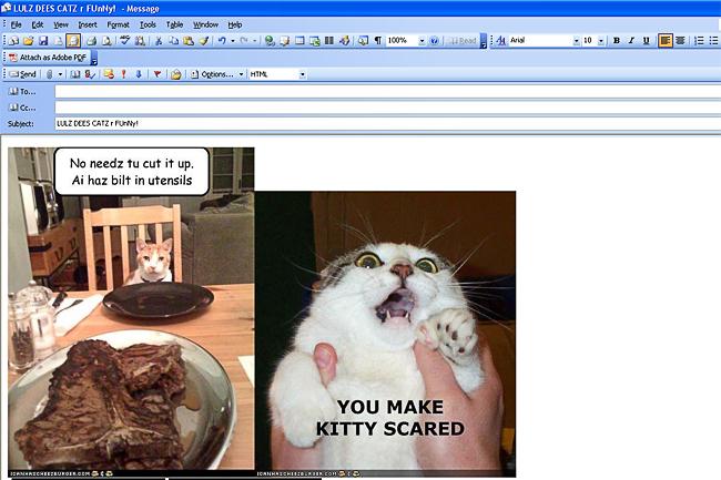 Spamming everyone with LOLcats Email can be fun and all, and everyone 