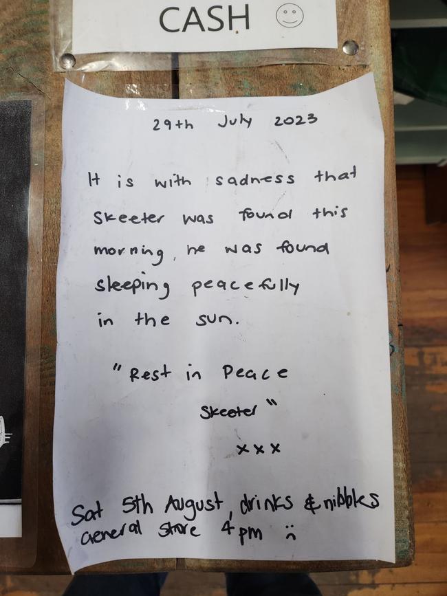 A flyer announcing Skeeter’s death. The 14-year-old cat died, “peacefully” in his sleep.