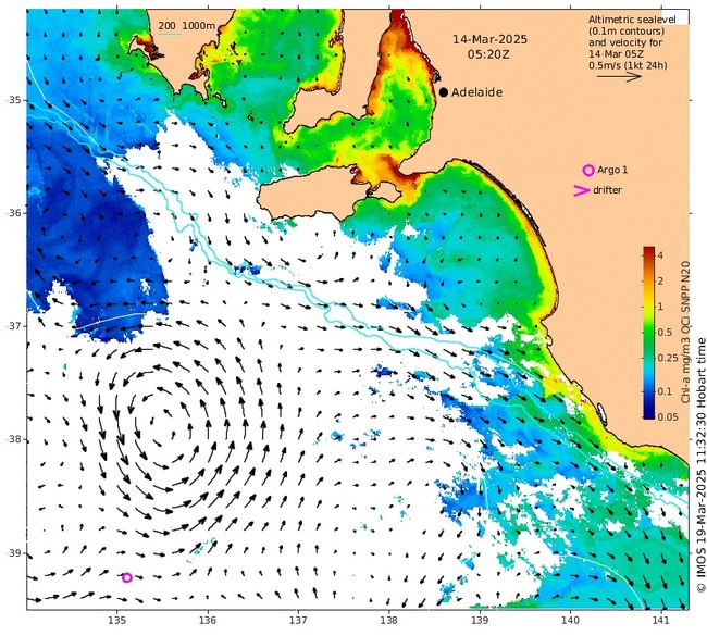 Weatherzone’s map depicts high concentrations of Chlorophyll-A along the coastline. Picture: Supplied / Weatherzone