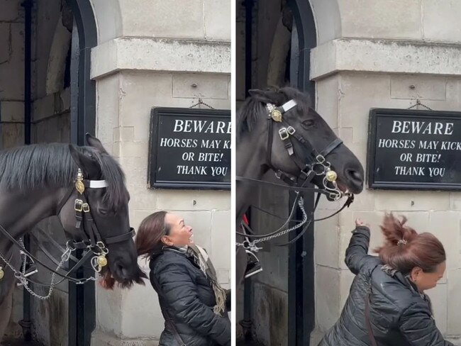 Woman gets flung by King’s Guard horse