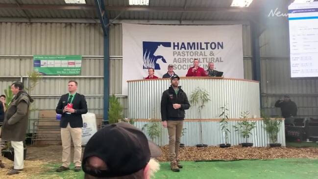 Auctioneers take the bids at Sheepvention