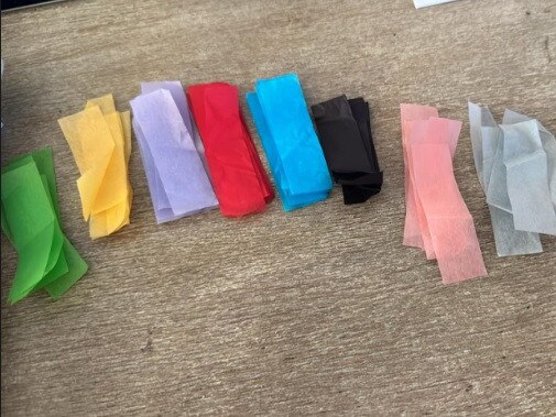 Generous Swifties are taking to social to offer up Eras Tour confetti to fans who missed out. Picture: Supplied