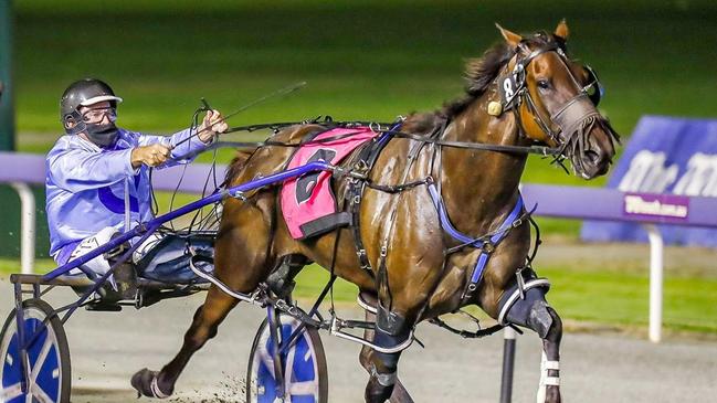 Minstrel will contest the Inter Dominion series after winning the WA Pacing Cup earlier this month. Picture: Pacepix