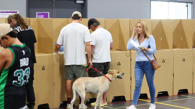 Every man and his dog were voting at Nerang State High School on Saturday. Picture: Nigel Hallett