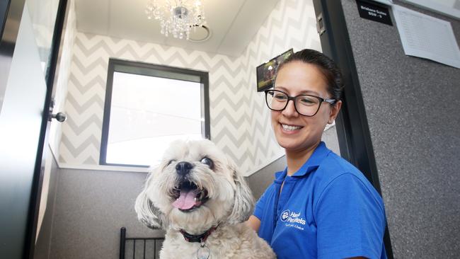 Cookie the pup, with Tanya Kuhl, Pet Welfare Supervisor, at Hanrob Pet Hotels, Hendra, Brisbane. Picture: AAP/Steve Pohlner