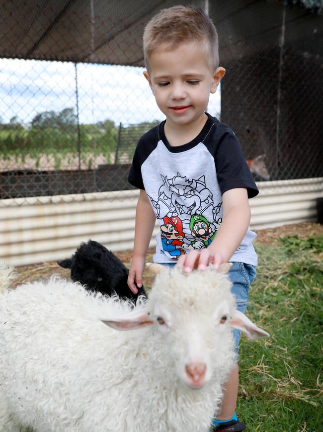 Oliver Pulvirenti makes the most of the farm at the Dural site. Picture: Angelo Velardo