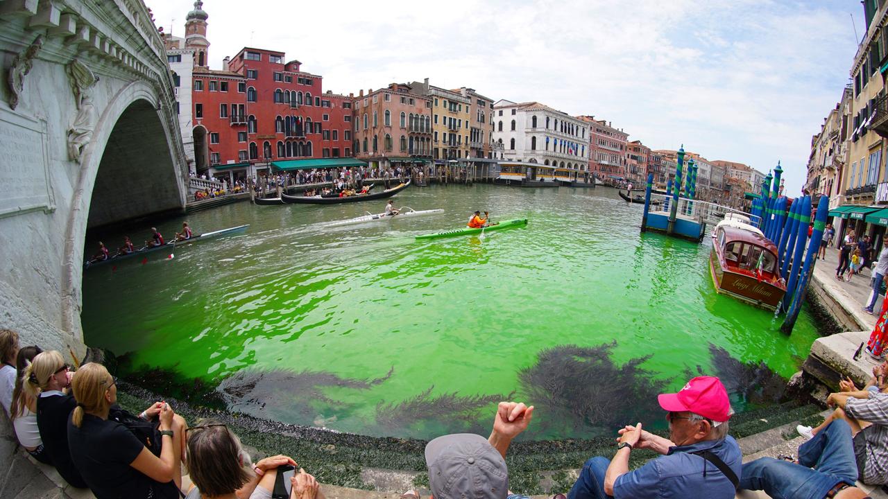 Venice Grand Canal turns bright green, authorities investigating why ...