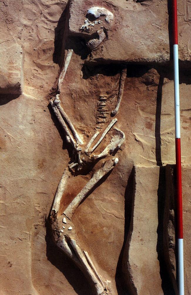 Skeleton of an Aboriginal man which was found at Lake Mungo in 1974. An ANU research team released finding in May 1999 as a result of modern dating techniques that showed Indigenous Australians arrived on continent 20,000 years earlier than previously accepted.