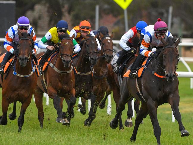 Hey Doc takes part in a jump out at Werribee on December 31.