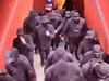 Neo-Nazi thugs stopped on Sydney train