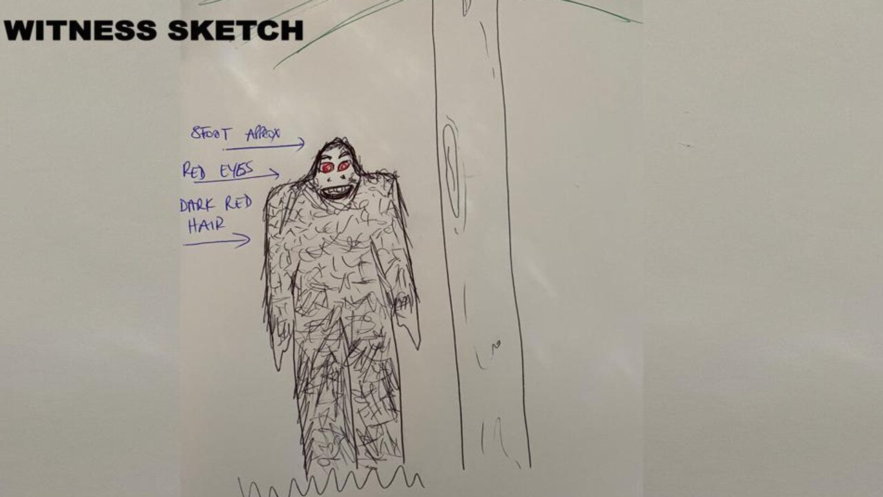 A witness sketch of the 1978 “yowie sighting” at Palm Beach. Picture: Australian Yowie Research.