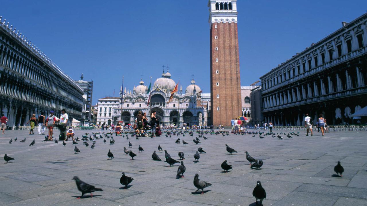 If there’s one thing that outnumbers even the tourists in Venice, it’s the pigeons.