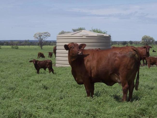 REAL ESTATE: Terrick Terrick Station in Blackall sold for $40m. Image supplied.