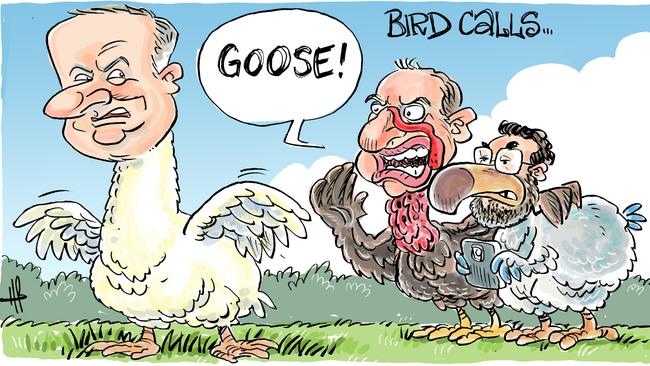 Cartoonist Harry Bruce's take on name-calling in Mackay between two of the countrys top leaders this week.