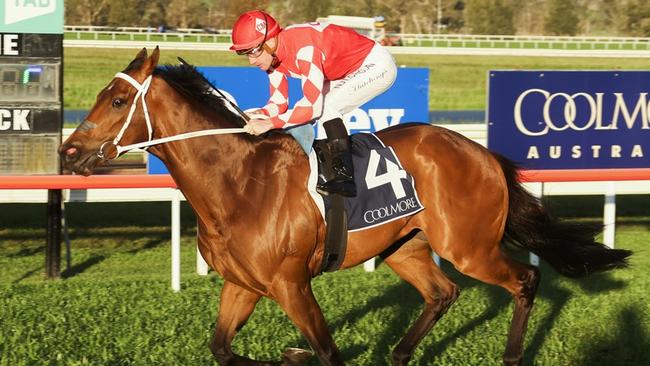 Ostracised looks a good chance at Scone. Picture: Bradley Photos