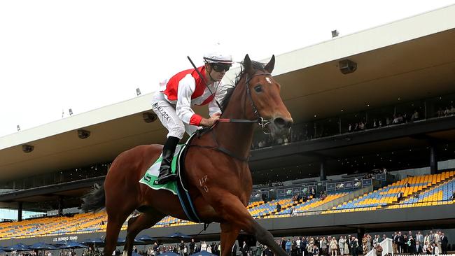 Aaron Bullock riding Know Thyself to victory at Rosehill last month Picture: Jeremy Ng/Getty Images