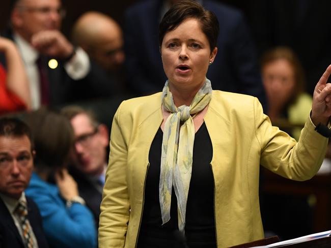 Mulgoa MP Tanya Davies says it is ‘beyond belief’ the bill doesn’t mention the word ‘women’. Picture: AAP