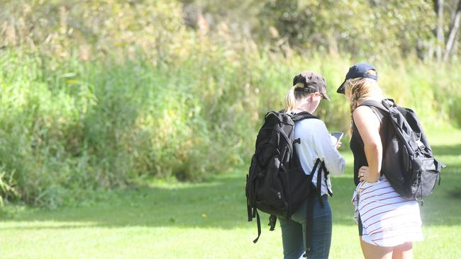 Volunteers search bushland around the Arts Factory in search of any sign of missing backpacker Theo Hayez in 2019.