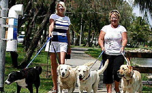 Keri Gazzard and Judy Michell walk Snowy, Maddie, Clancy and Ruby along the esplanade at La Balsa Park. Picture: Barry Leddicoat